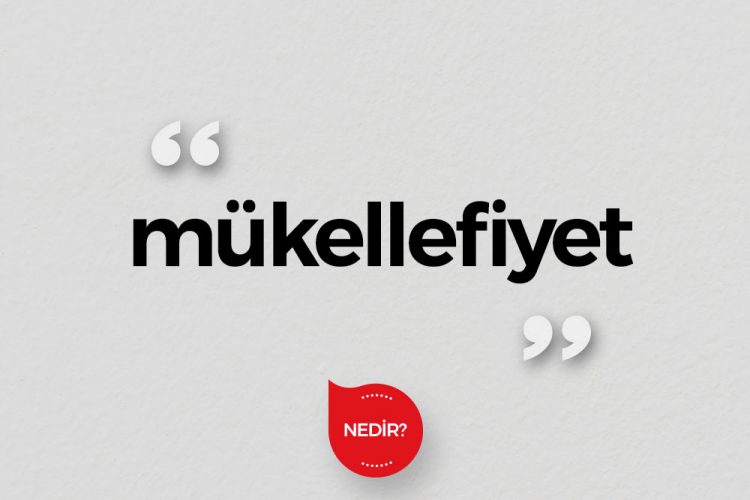 Mükellefiyet ne demek?